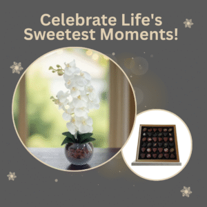 Seasonal Greetings - Gift Set