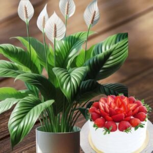 Sweetest Wishes - Gift Set