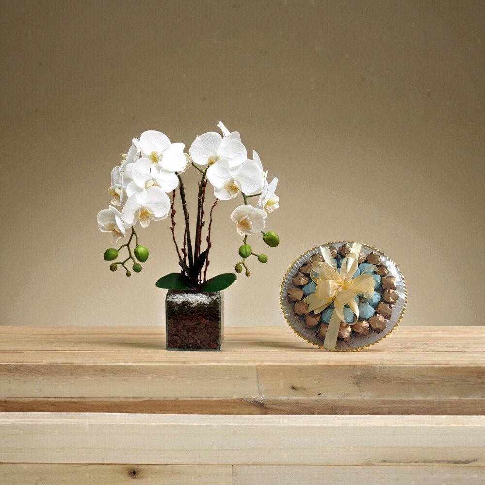 Warm & Cozy - White Orchid 2 Stems with Bousheyeh's Sugar-Free Chocolate Platter 1KG