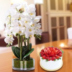 Warm & Cozy - White Orchid with Strawberry Cake Serves 12 persons