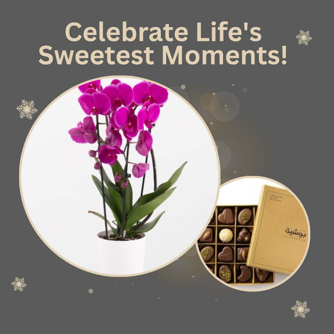 Seasonal Greetings 3 - Gift Set