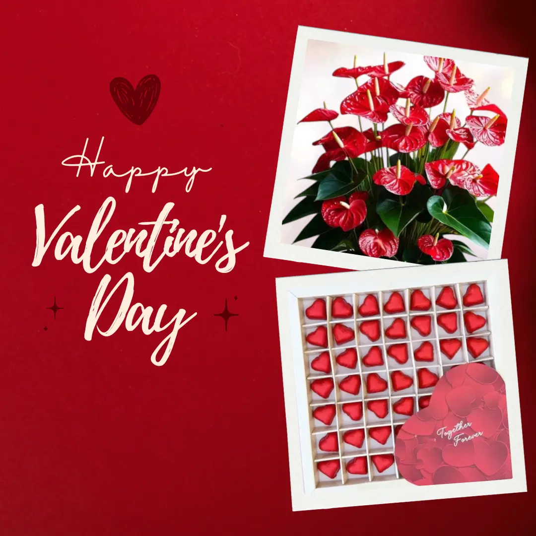 Red Anthurium with Bousheyeh's Valentine's Chocolate Box (750gm)