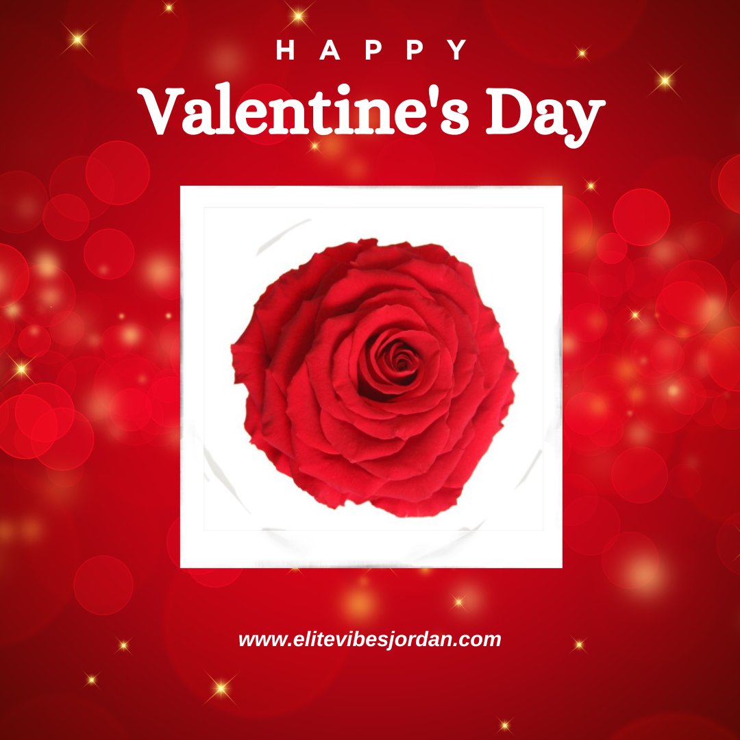 Valentine's Natural Preserved Red Rose - Stemless - King Size 9-10 cm - Image 2