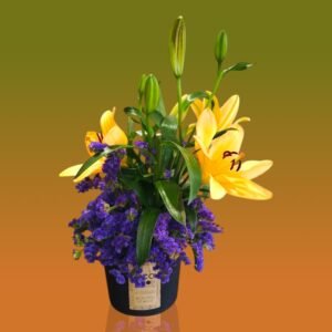 Yellow lilies and purple statice in a black pot, against a two-tone green-to-orange gradient background