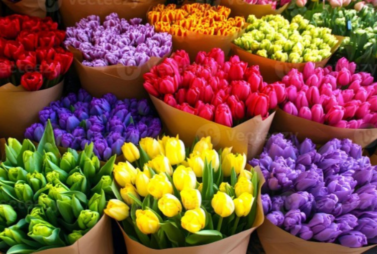 Bouquets of tulips in red, orange, yellow, pink, purple, and green at a flower stall.
