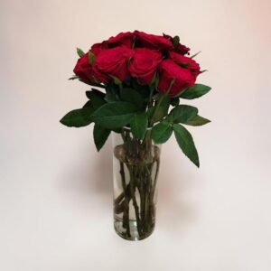 Bouquet of red roses in a tall clear vase with green leaves and visible stems in water against a light background, close-up view of the arrangement.