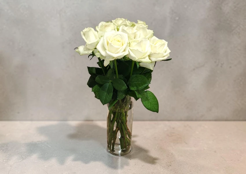 IMG_20260623_052440 | Elite Vibes - Jordan Bouquet of white roses in a clear glass vase on a light gray countertop.