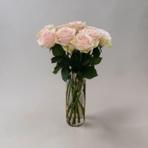 Bouquet of pale pink roses in a tall clear vase against a neutral backdrop.
