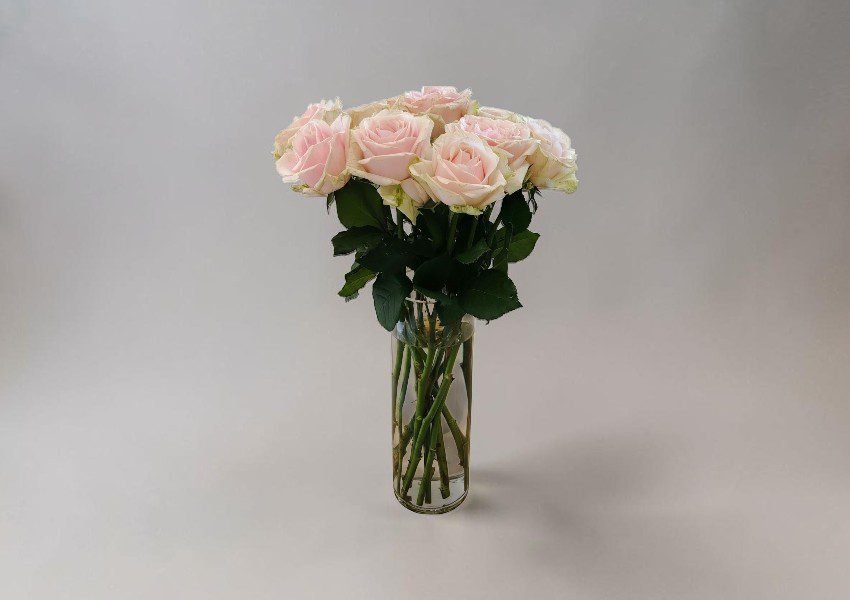 IMG_20260623_095906 | Elite Vibes - Jordan Bouquet of pale pink roses in a tall clear vase against a neutral backdrop.