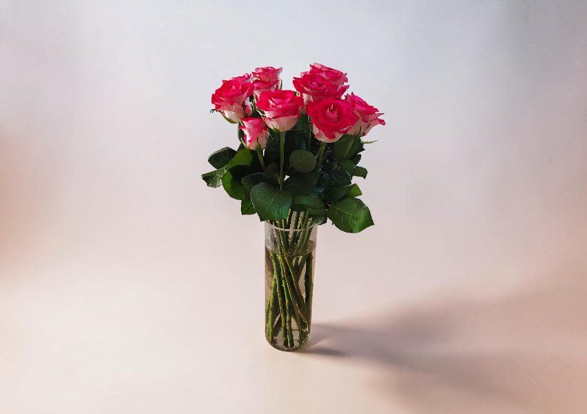 IMG_20260623_140917 | Elite Vibes - Jordan Bouquet of pink roses with green leaves in a tall clear glass vase on a soft, neutral background.
