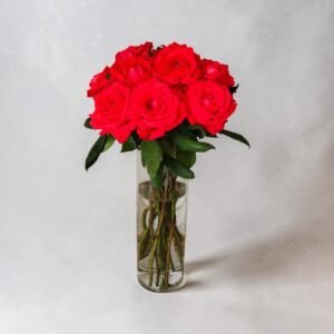 Bouquet of red roses in a tall glass vase with water, on a light gray background.