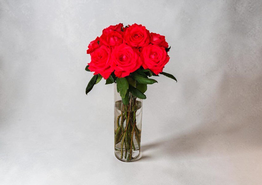 IMG_20260624_160351 | Elite Vibes - Jordan Bouquet of red roses in a tall glass vase with water, on a light gray background.