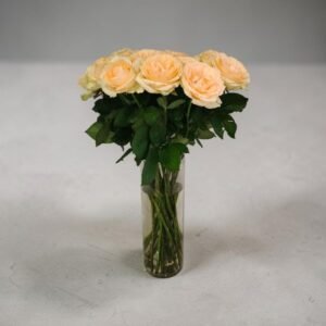 Bouquet of pale peach roses in a tall glass vase on a light gray surface; green stems visible through the water-filled vase