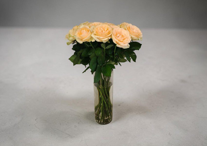 2 | Elite Vibes - Jordan Bouquet of pale peach roses in a tall glass vase on a light gray surface; green stems visible through the water-filled vase