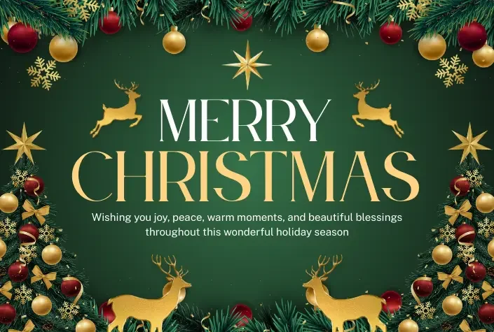 Untitled design - 2026-02-08T210245.082